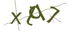 Identifying code
