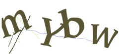 Identifying code