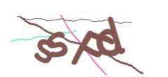 Identifying code