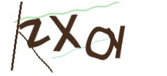 Identifying code