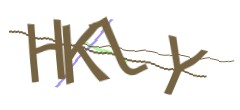 Identifying code