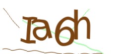 Identifying code