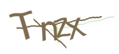 Identifying code
