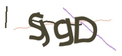 Identifying code