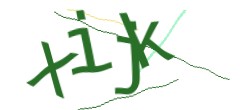 Identifying code