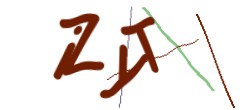 Identifying code