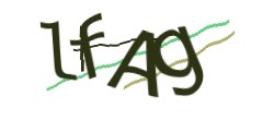 Identifying code