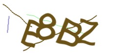 Identifying code