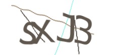 Identifying code