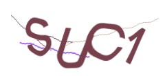 Identifying code