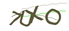 Identifying code