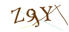 Identifying code