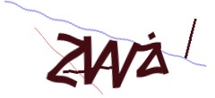 Identifying code