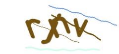 Identifying code