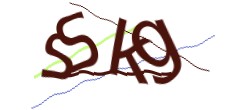 Identifying code