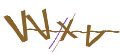 Identifying code