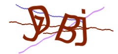 Identifying code