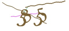 Identifying code