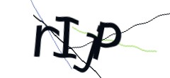 Identifying code