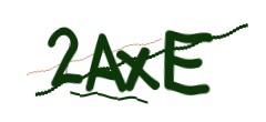 Identifying code