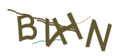 Identifying code