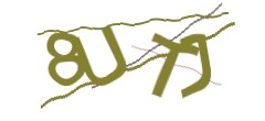 Identifying code