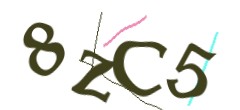 Identifying code