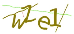 Identifying code
