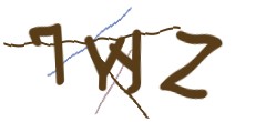 Identifying code