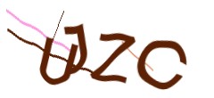Identifying code