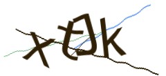 Identifying code