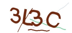 Identifying code