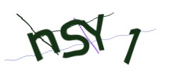 Identifying code