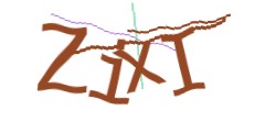 Identifying code