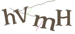 Identifying code