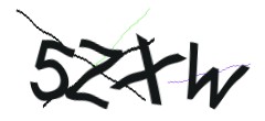 Identifying code