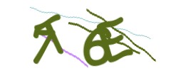 Identifying code