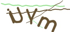 Identifying code