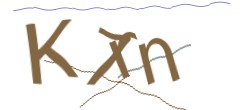 Identifying code