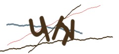 Identifying code