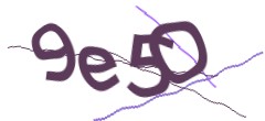 Identifying code