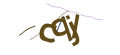 Identifying code