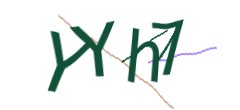 Identifying code