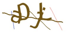 Identifying code