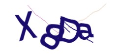 Identifying code