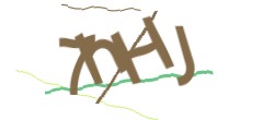 Identifying code