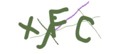 Identifying code