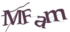 Identifying code