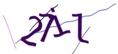 Identifying code