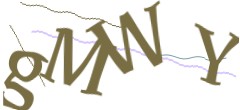 Identifying code